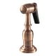 preview thumbnail 23 of 26, Made To Match Kitchen Side Sprayer Antique Copper