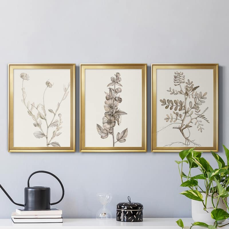 Neutral Botanical Study IV Premium Framed Canvas - Ready to Hang - Multi-Color