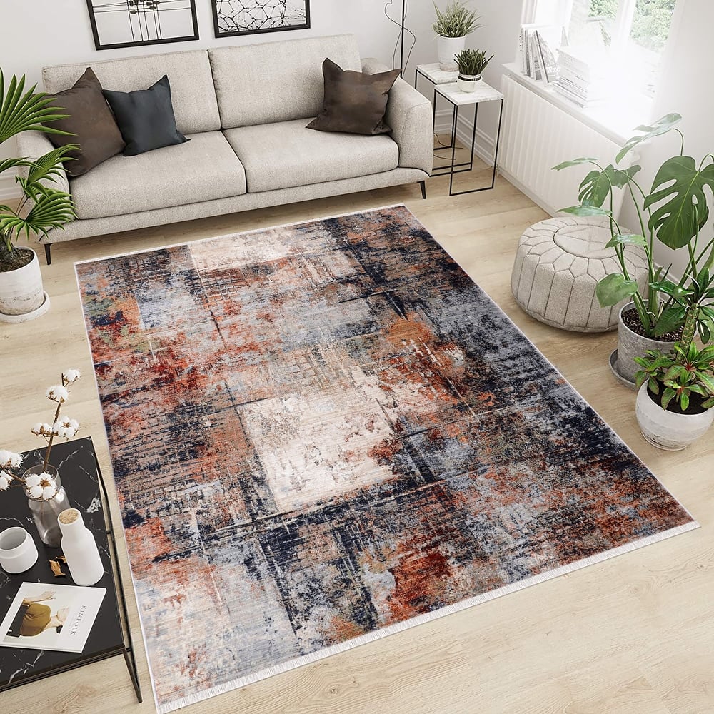 Anna Collection Abstract Area Rug with Fringe