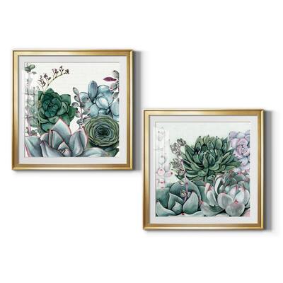 Succulent Garden I Premium Framed Print - Ready to Hang