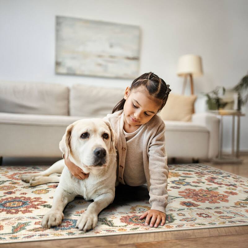 Smart Wash Ambient Glam Oriental Indoor Polyester Area Rug