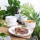preview thumbnail 19 of 39, Stone Lain Albie Glaze Stoneware Round Dinnerware Set