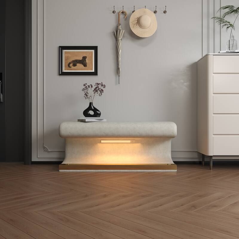 Modern & Contemporary Bench with Cushuion