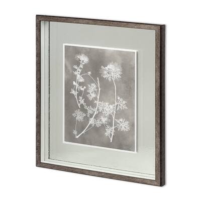 Custom Herbarium Study IV Framed Art Print