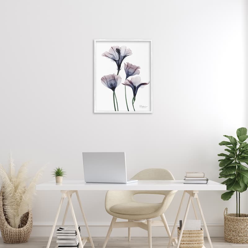 Stupell Bountiful Dusk Flowers Framed Giclee Art Design By Albert Koetsier