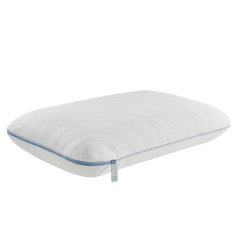 Sealy Dreamlife Performance Foam Pillow, Standard