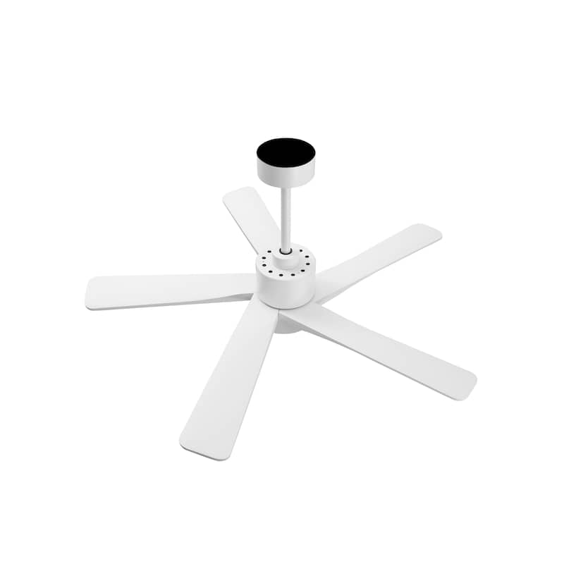 WINGBO 54" and 64" 5 ABS Blades DC Motor Indoor Ceiling Fan with Light & Remote