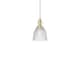 Option Champagne Bronze / Clear