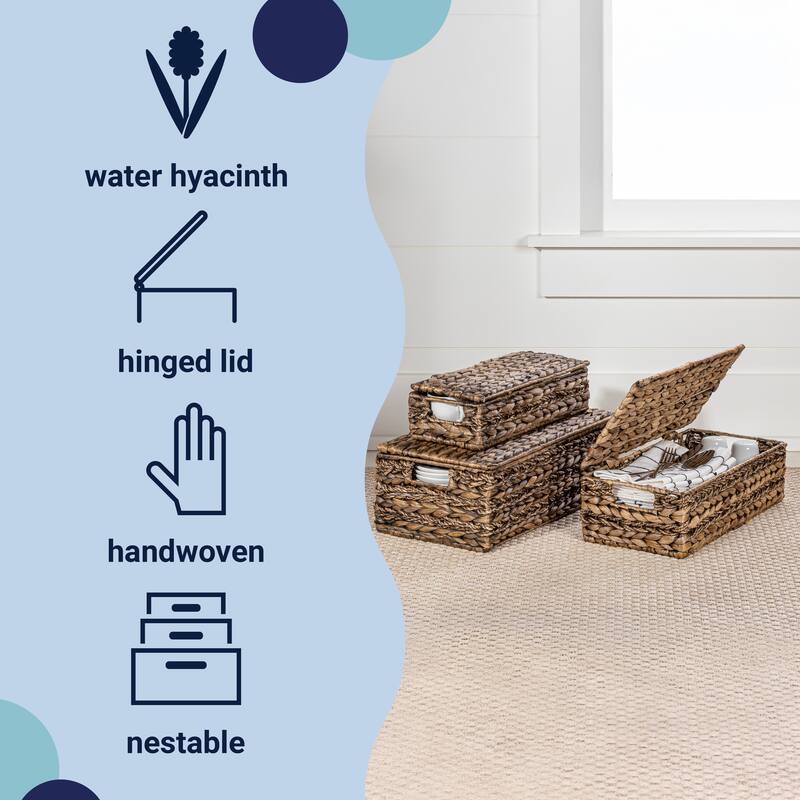 Handwoven Hyacinth Storage Baskets with HandleS & Lids (Set 3)