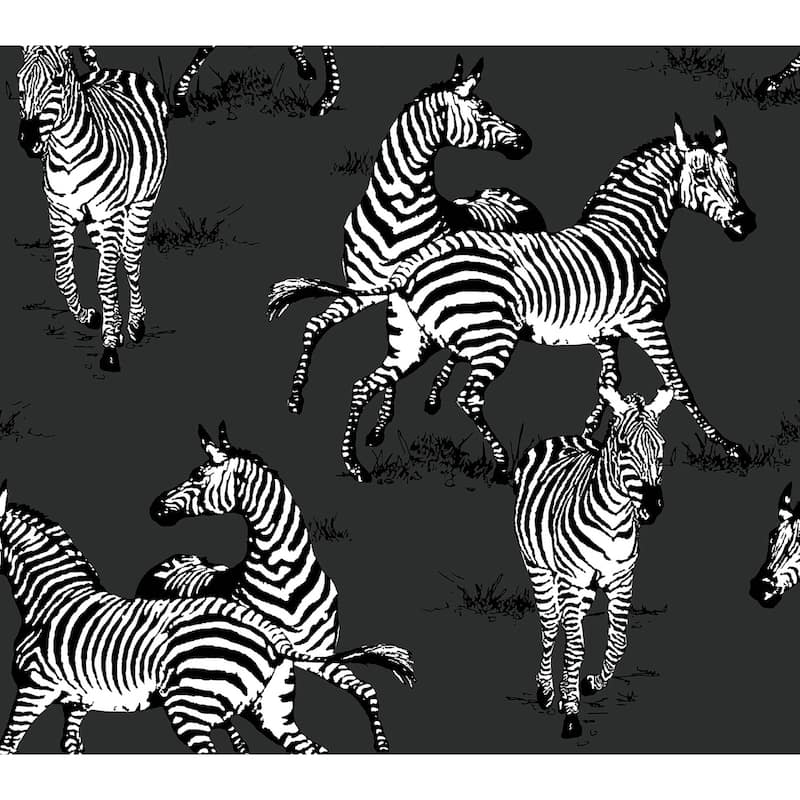 Harry & Grace Playful Zebras Peel and Stick Wallpaper