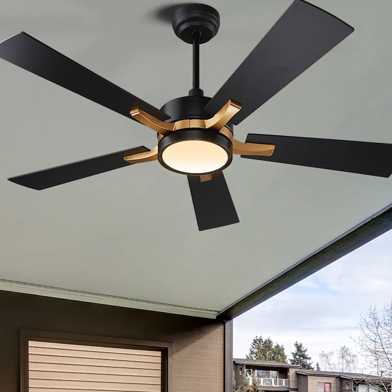 CARRO Elliott 52" Smart Ceiling Fan with Light and Remote-Downrod - Black/Gold