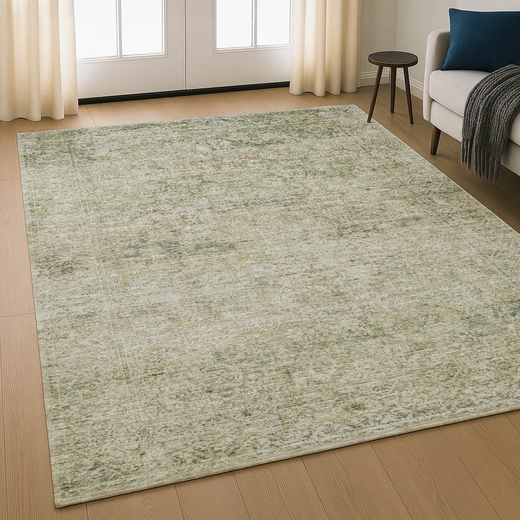Premium Washable Super Soft Vintage Traditional Mayfield Rug