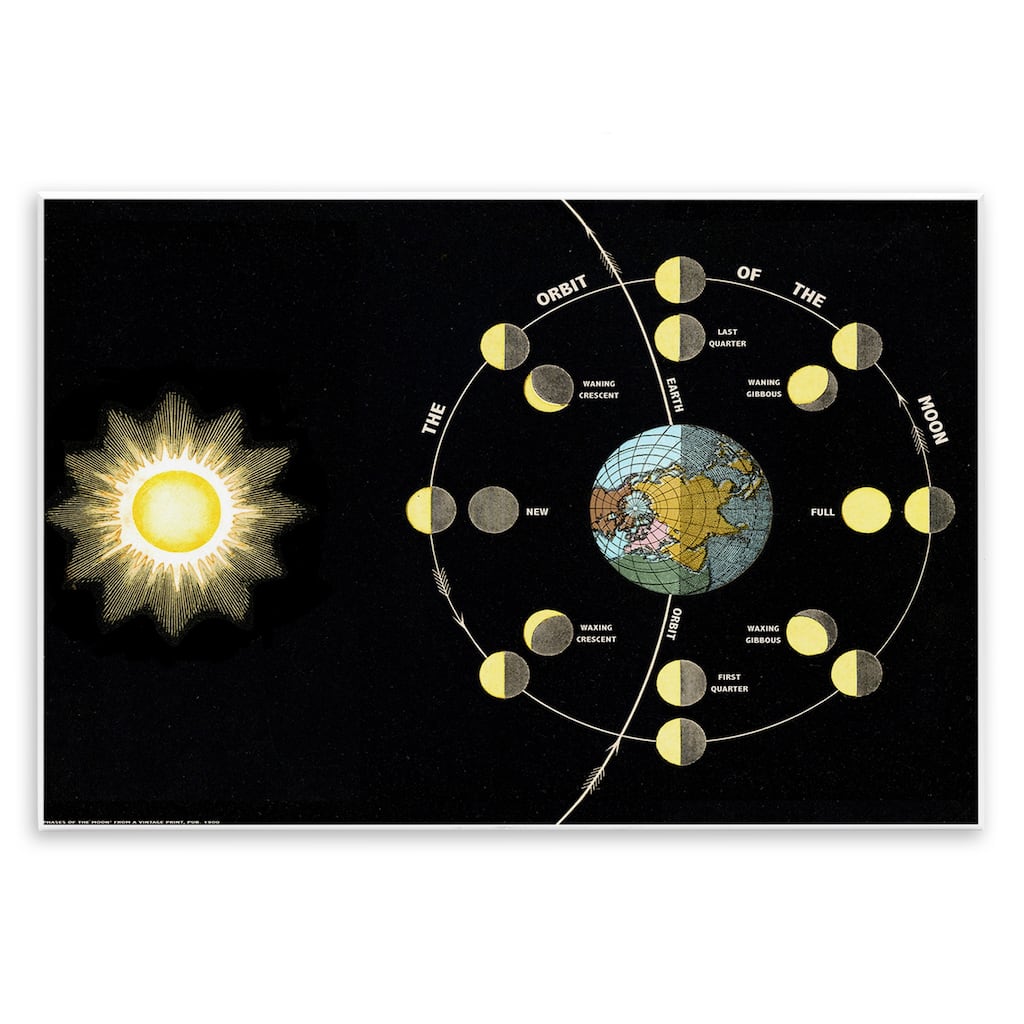 Stupell Moon's Orbit & Phases Wall Plaque Art Design By Phillipa Katz