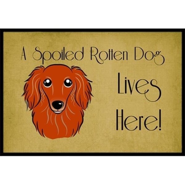 Carolines Treasures BB1462JMAT Longhair Red Dachshund Spoiled Dog Lives Here Indoor & Outdoor Mat 24 x 36 in.