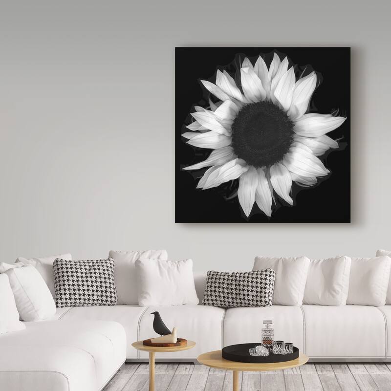 Susan S. Barmon 'Sunflower 1 Black And White' Canvas Art
