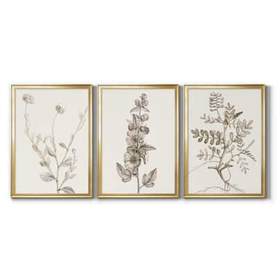 Neutral Botanical Study IV Premium Framed Canvas - Ready to Hang - Multi-Color