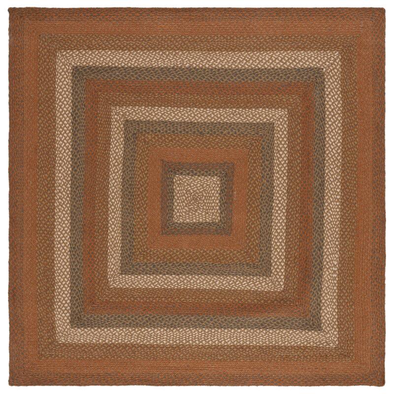 SAFAVIEH Handmade Braided Ilsabe Cotton Rug