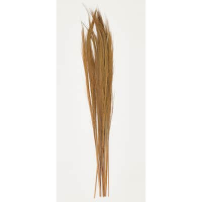32" Broom Grass Bunch, Set of 6 - 32