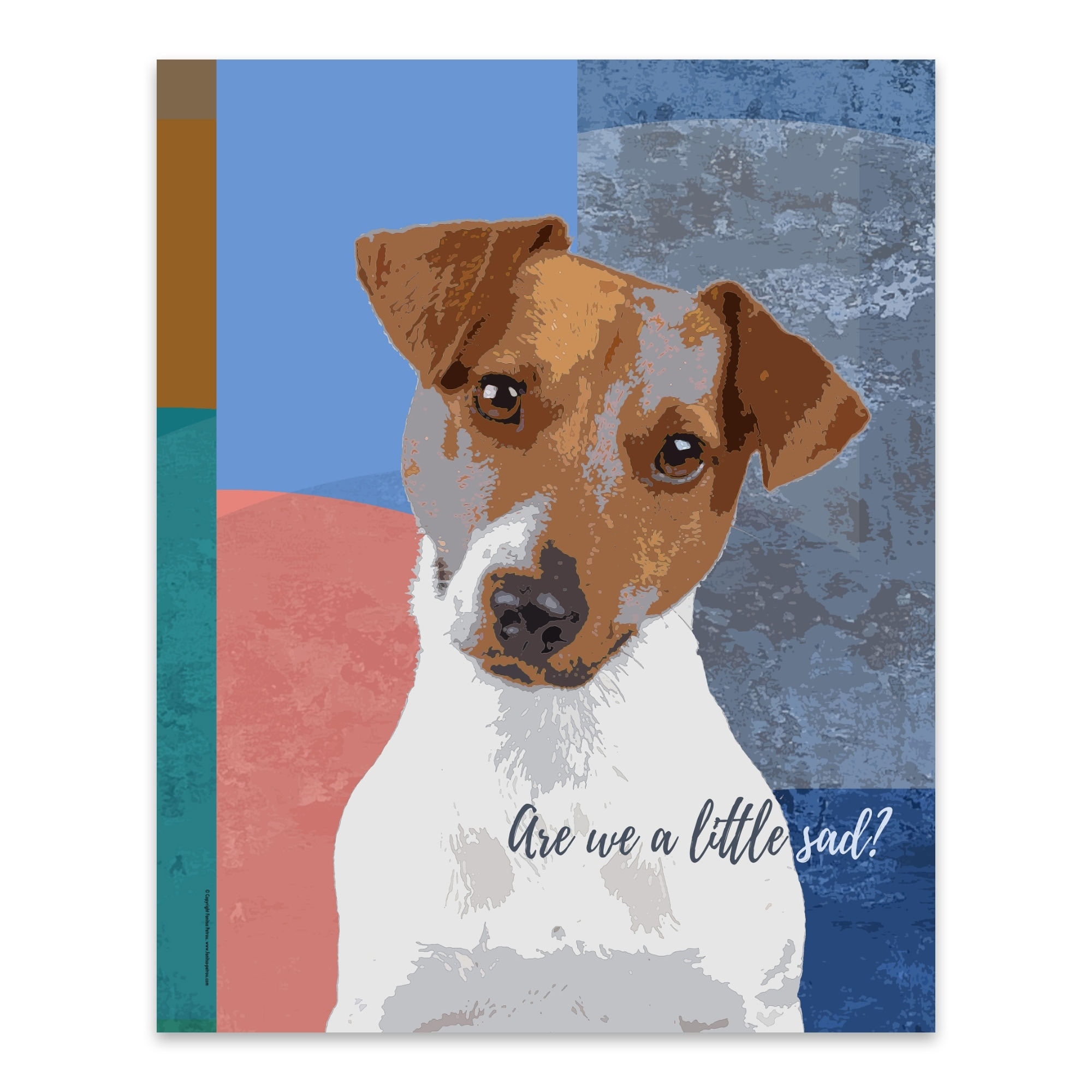 fawn jack russell