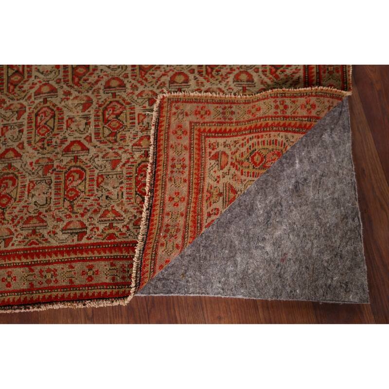 Pre-1900 Antique Senneh Vegetable Dye Foyer Wool Carpet - 1'10" x 2'11"