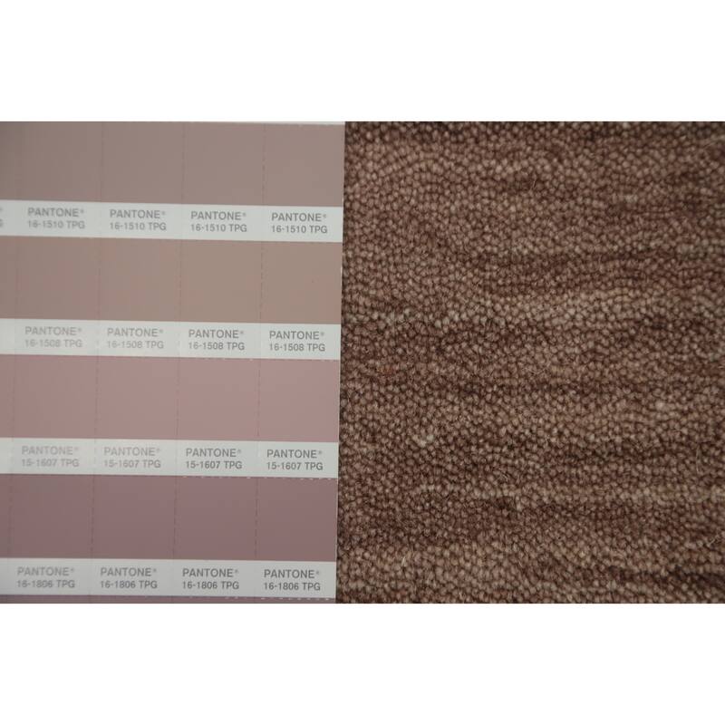 Hand Knotted Oriental 100% Wool Carpet Tribal Animal Pictorial Brown Gabbeh Area Rug - 7' 9'' X 5' 0''