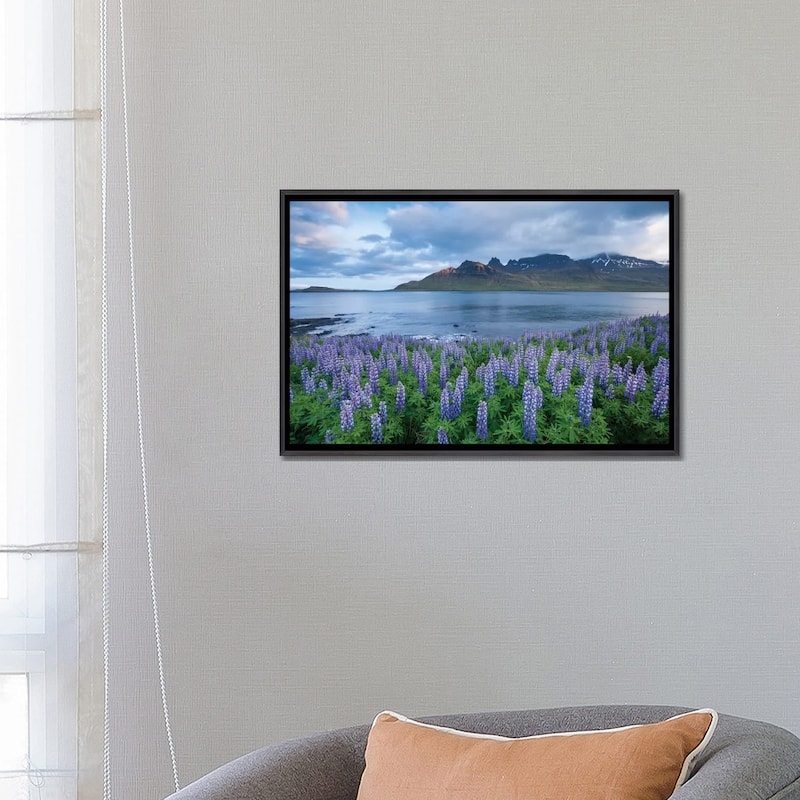 iCanvas "Nootka Lupines I, Stodvarfjordur Fjord, Austurland, Iceland" by Gareth McCormack Framed