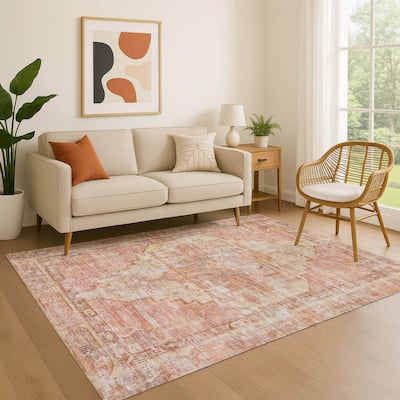 Premium Washable Super Soft Vintage Traditional Mayfield Rug