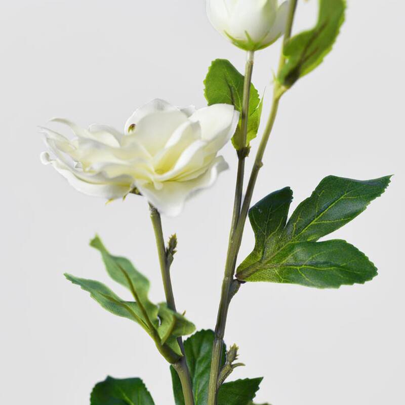 Silk Decorative Artificial Persian Buttercup(Pack of 1 Branch)