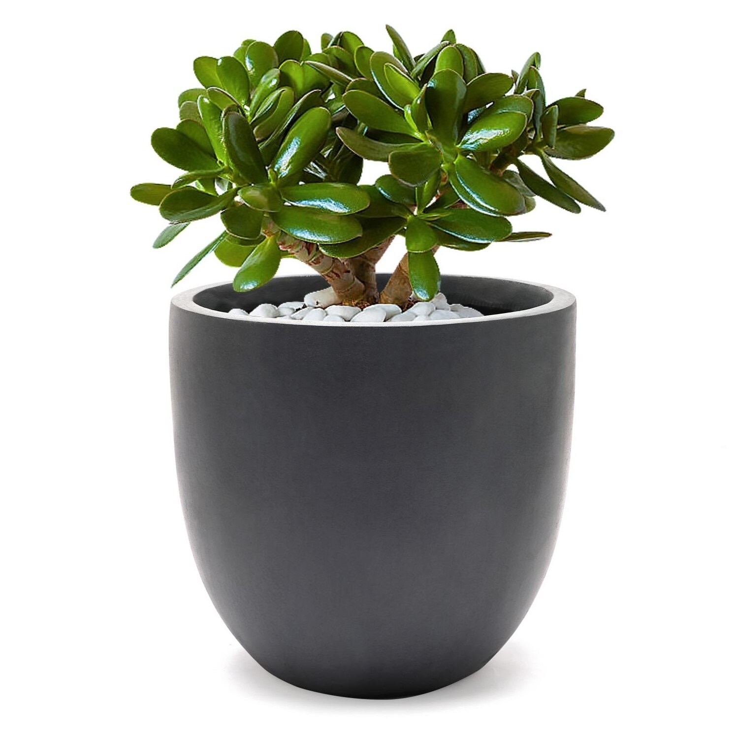 https://ak1.ostkcdn.com/images/products/is/images/direct/2dd82d394fb6f2a7f7bca702ad954f79f96fcf75/Round-MgO-Indoor---Outdoor-Planter.jpg