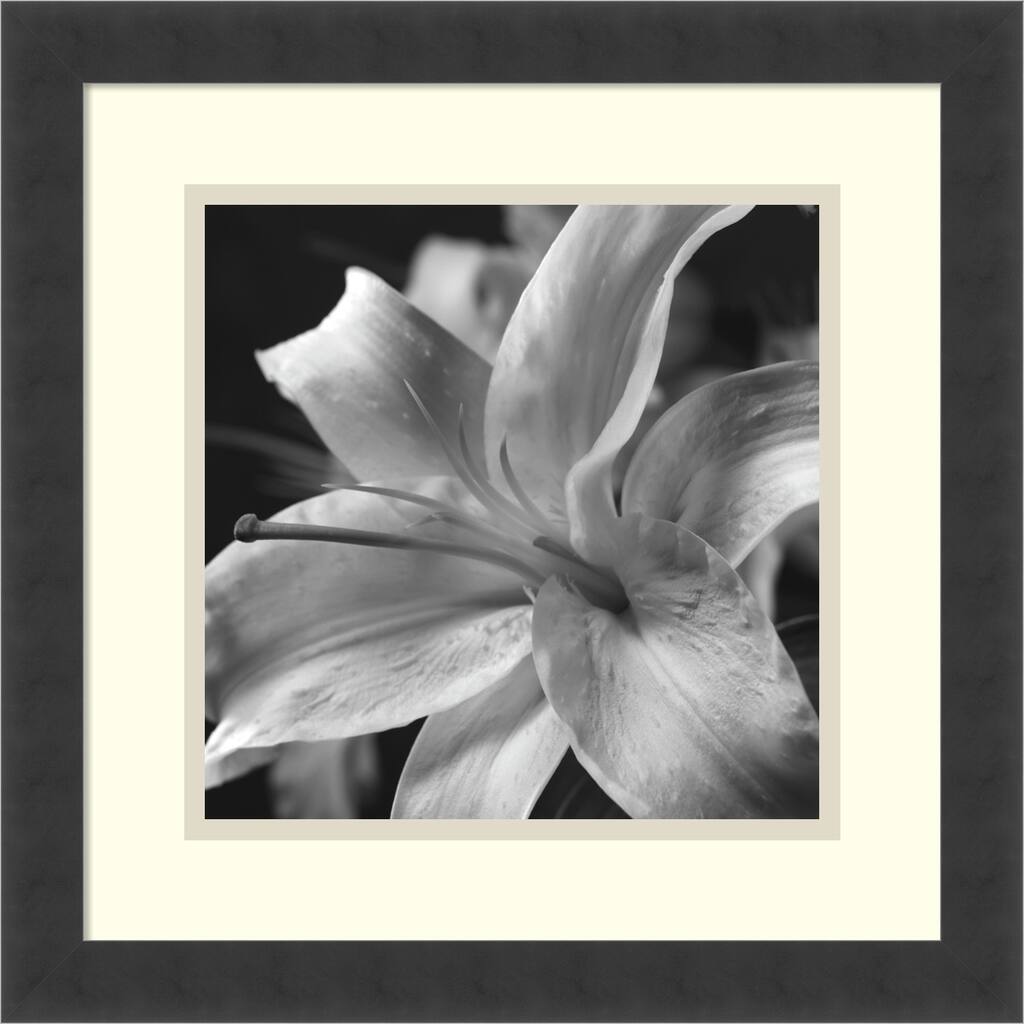Framed Art Print 'Pure Lily' by Gaetano Art Group 16 x 16-inch