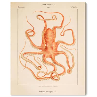 Verany The Octopus 1815 I Canvas by Art Remedy, Gallery Wrapped