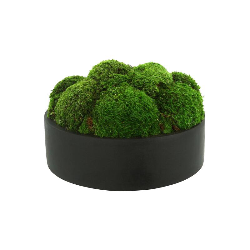 Rounded Moss in Fiberstone Planter - Green