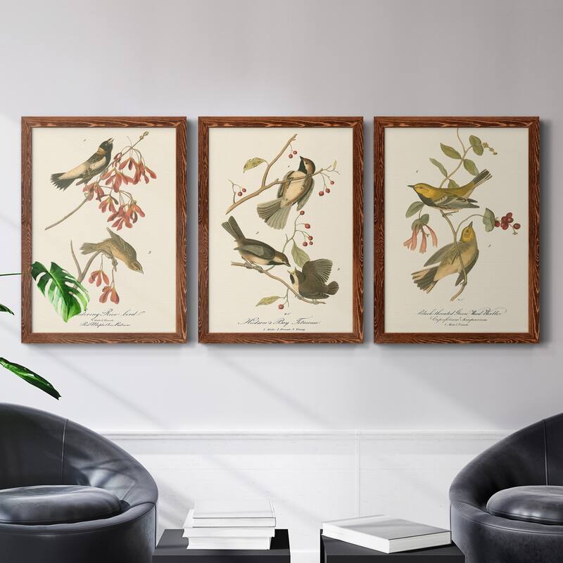 Wandering Rice Bird-Premium Framed Canvas - Ready to Hang - Multi-Color