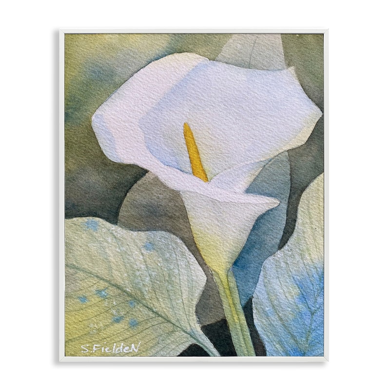 Stupell Garden Calla Lily Bloom Framed Giclee Art Design By Stephanie Fielden - 11 x 14 - White