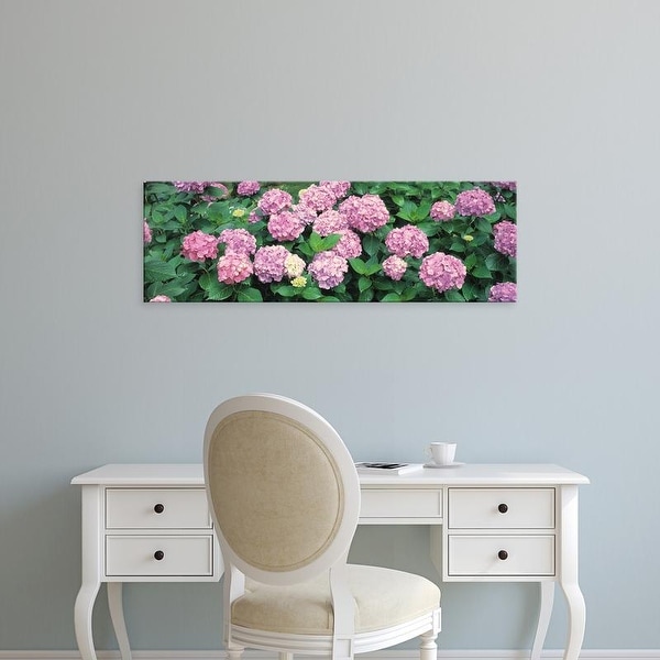 Easy Art Prints Panoramic Images's 'Hydrangea' Premium Canvas Art