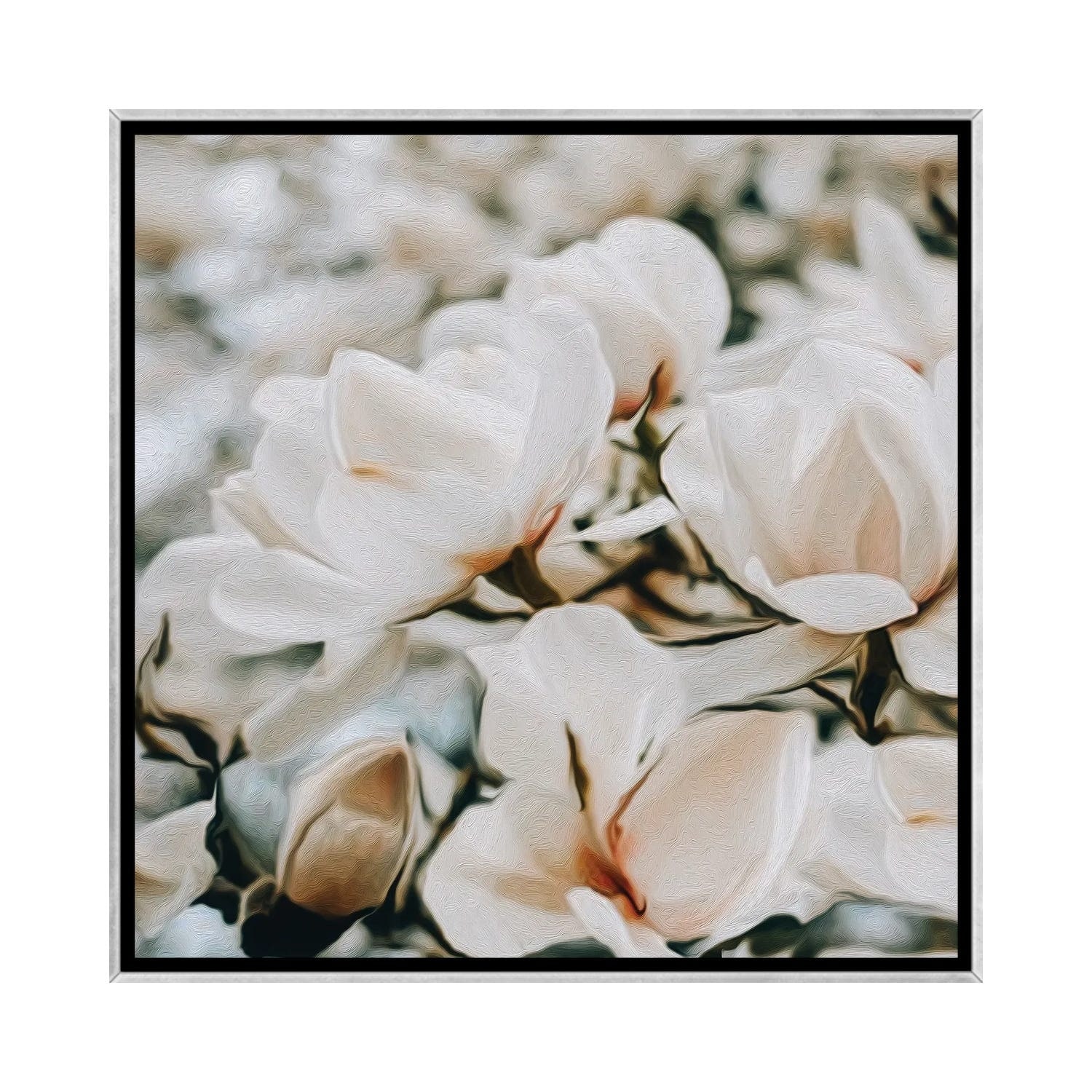 iCanvas "Blooming White Magnolia" by Ievgeniia Bidiuk Framed