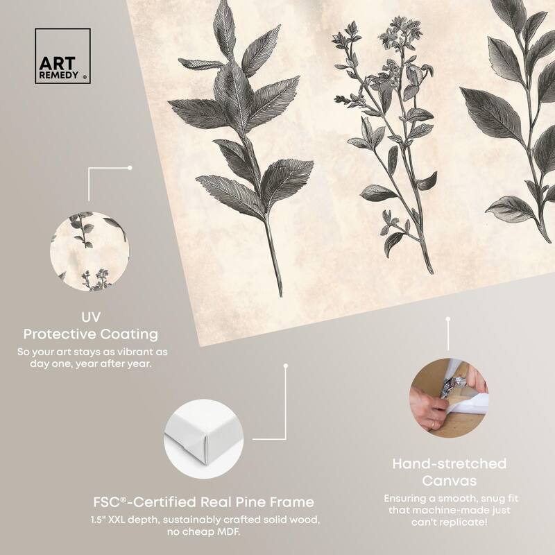 Sepia Stems Canvas by Art Remedy, Gallery Wrapped