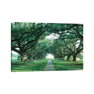 iCanvas "Brick Path Through Alley Of Oak Trees, Louisiana, New Orleans, USA" by Panoramic Images Canvas Print