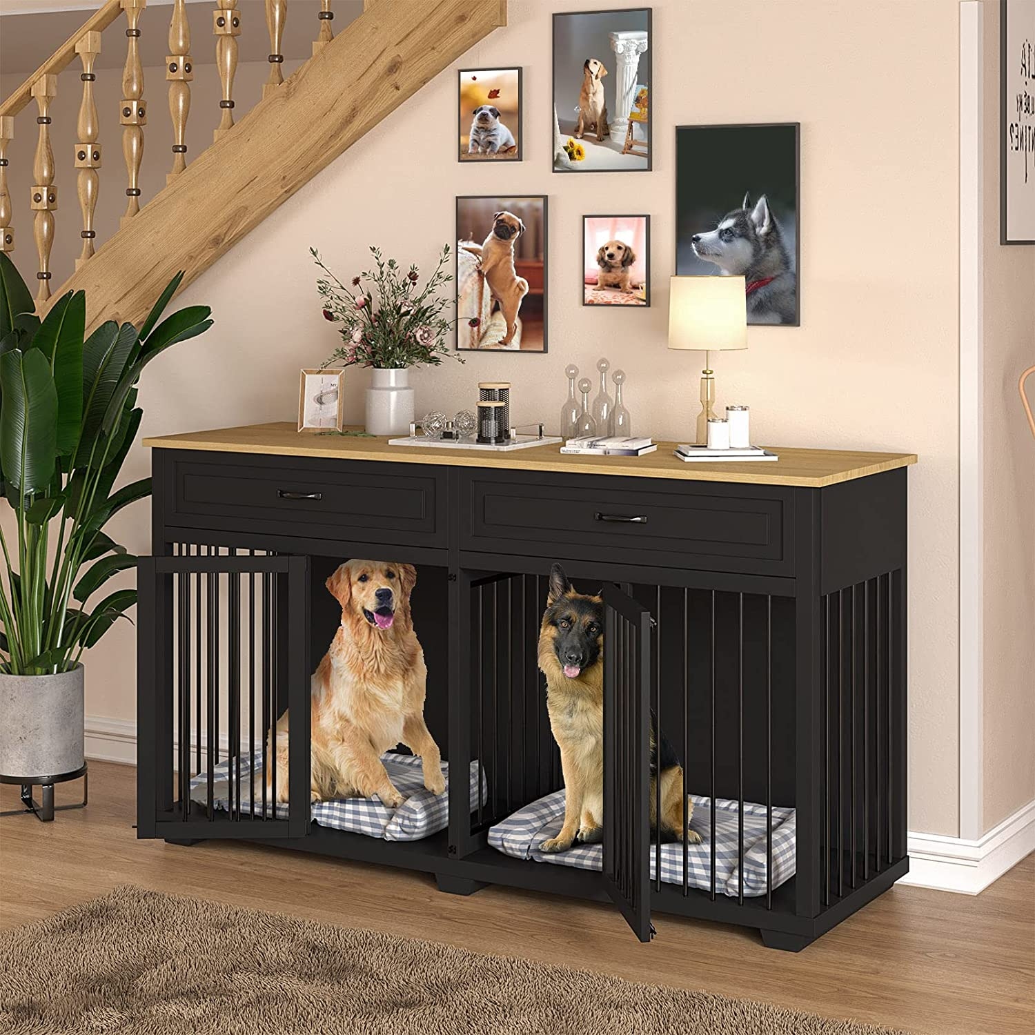 Indoor dog kennel furniture shop