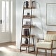 preview thumbnail 1 of 11, Lifestorey Estanier 5-Tier Ladder Shelf Natural/Black
