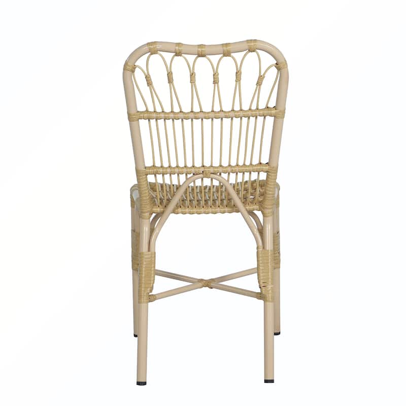 2PCS PE Dining Chairs