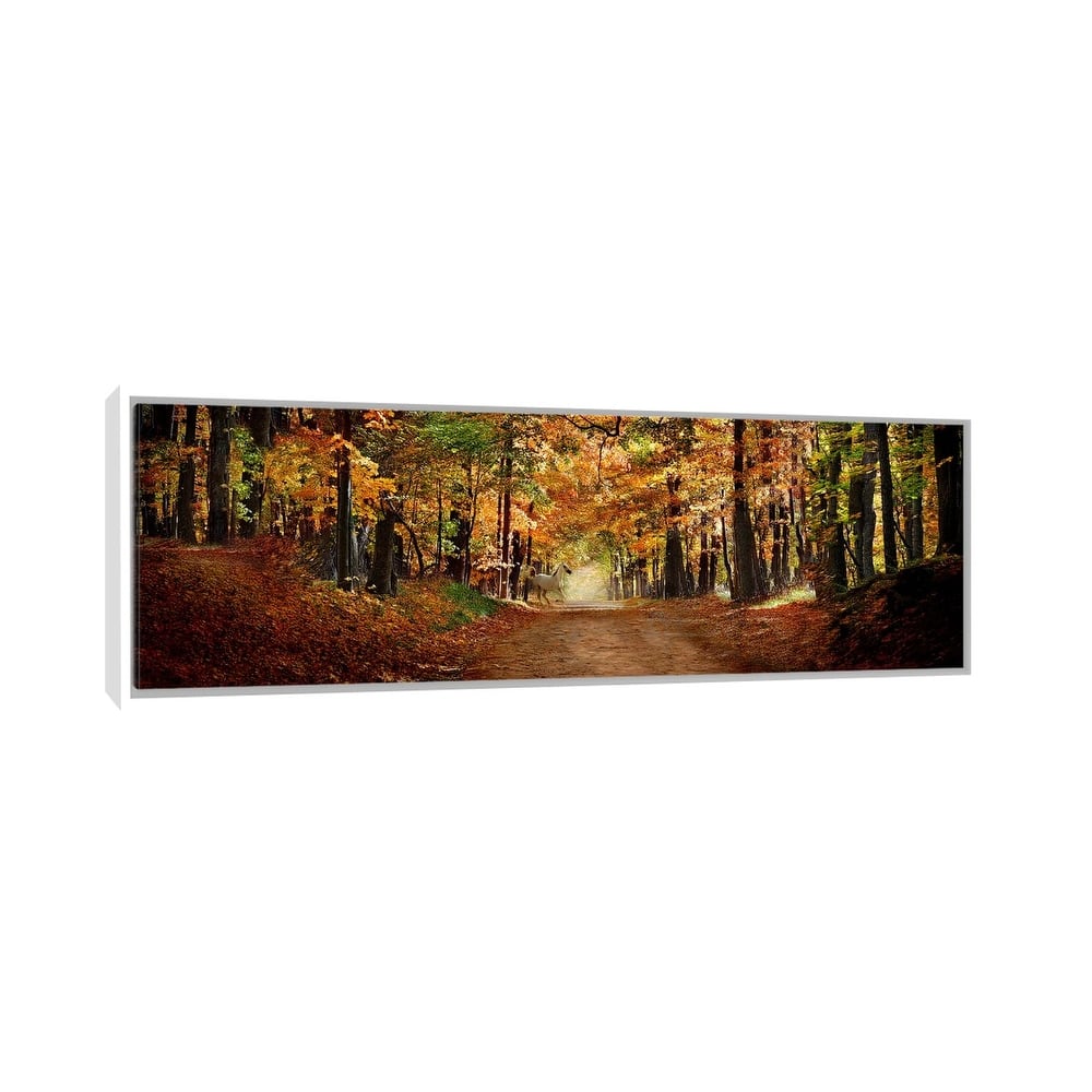 iCanvas "Horse running across road in fall colors" by Panoramic Images Framed Canvas Print