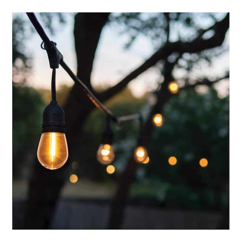 24 Foot LED String Light 12-S14 Lamps 2700K CCT Black 120 Volt