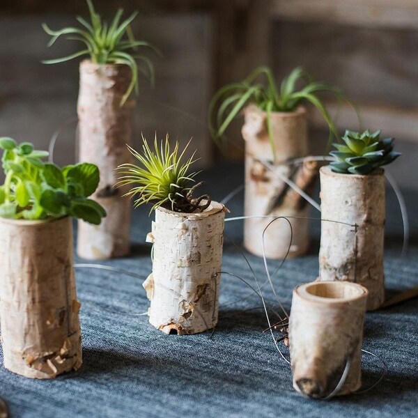 RusticReach Birch Wood Tiny Planter String Hanging Planter Decoration