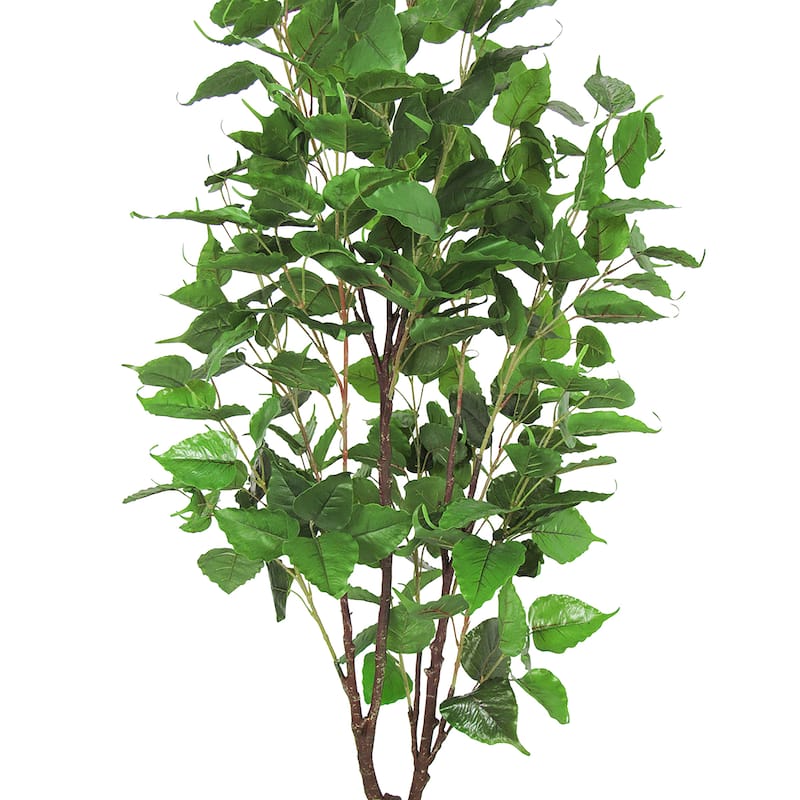 5.5ft Artificial Birch Tree Plant in Black Pot - 66" H x 30" W x 30" DP