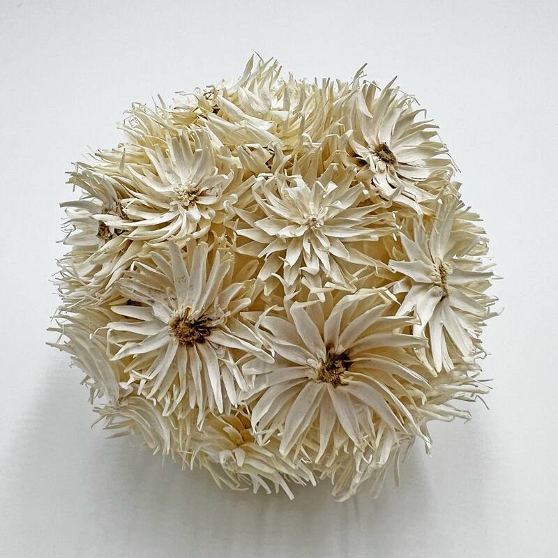 Preserved Decorative Conifer and Pinecone Topiary Balls - White - Set of 4