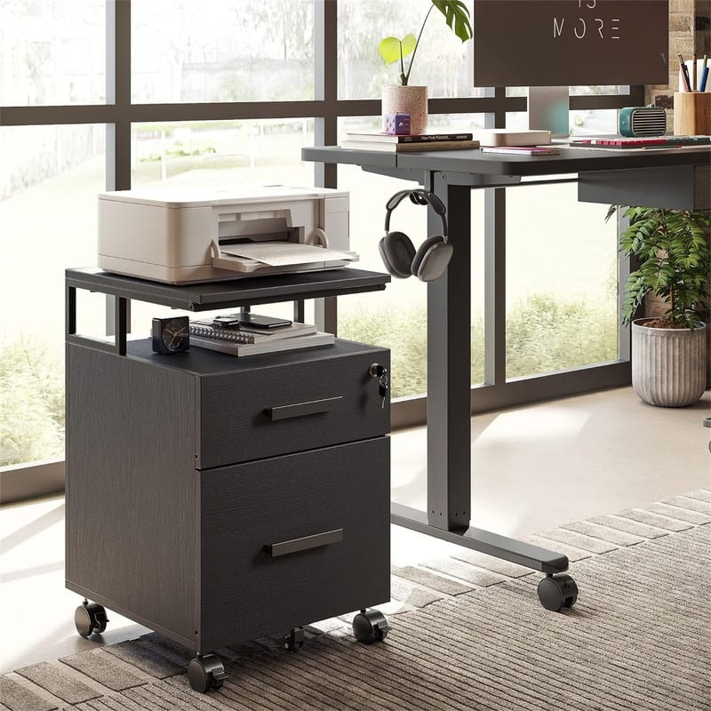 2-Drawer File Cabinet with Lock for Home Office - 17"D x 24.3"W x 16"H - Deep Black