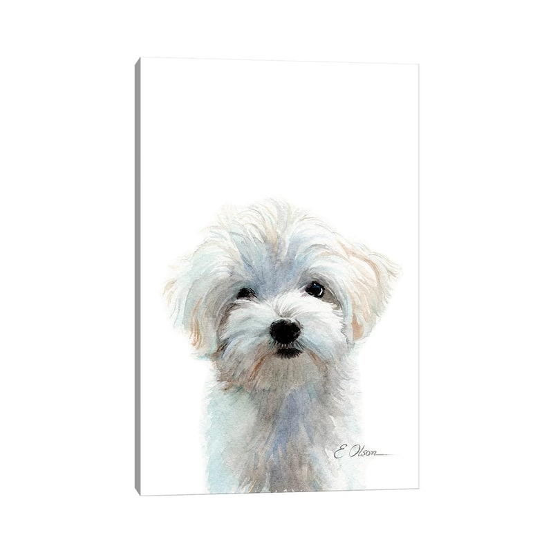 iCanvas "Maltese Puppy" by Watercolor Luv Canvas Print