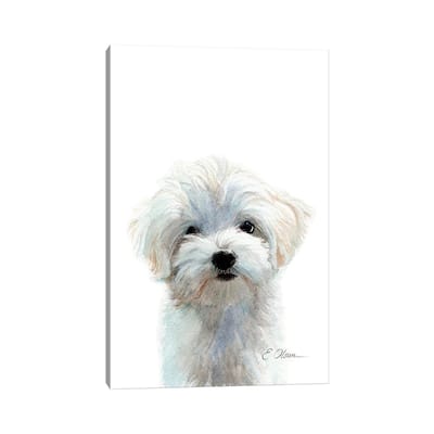 iCanvas "Maltese Puppy" by Watercolor Luv Canvas Print