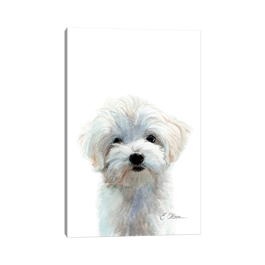 iCanvas "Maltese Puppy" by Watercolor Luv Canvas Print